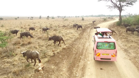 Love Bus Reise Durch Afrika Netflix Offizielle Webseite