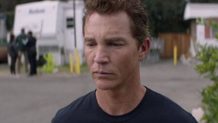 Animal Kingdom Netflix