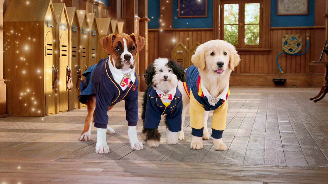 Pup Academy Officiele Netflix Site