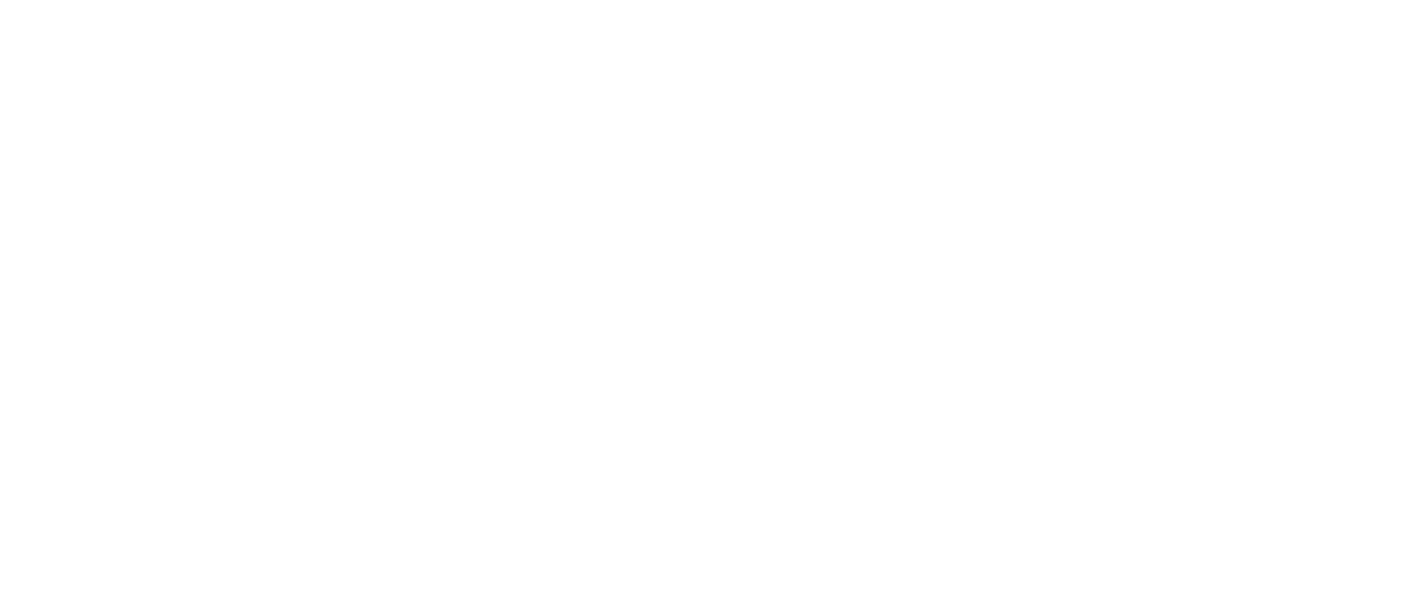 Partners For Justice Netflix