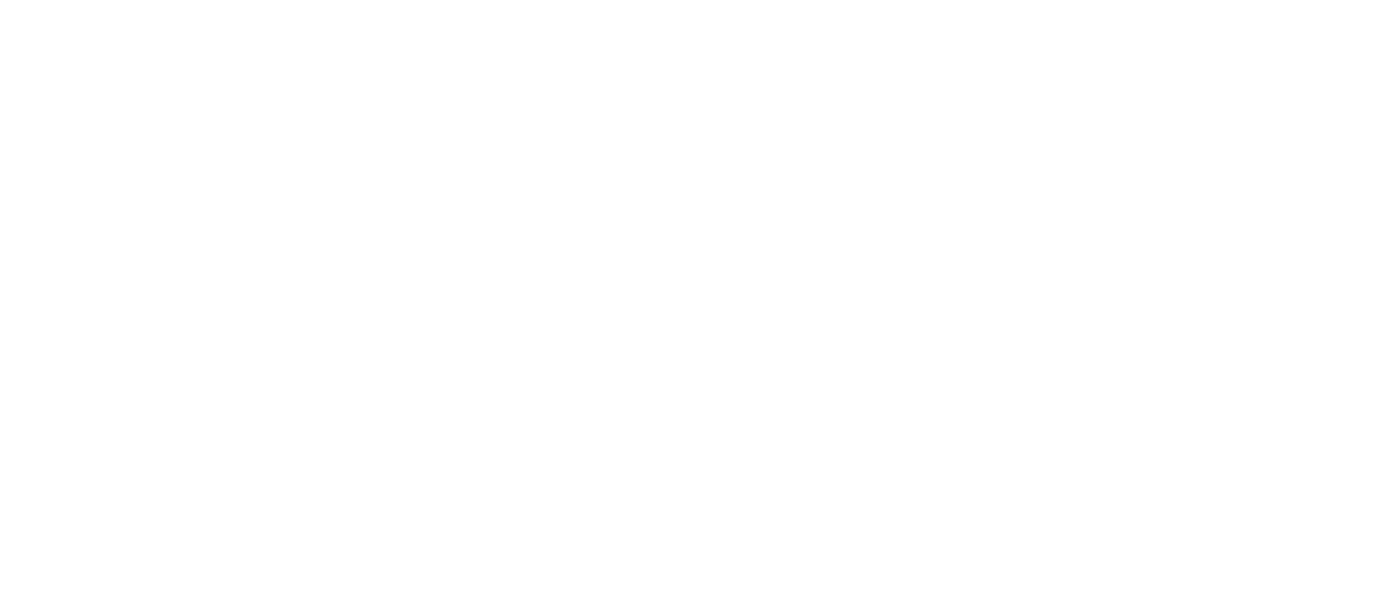 The Ancient Magus Bride Netflix