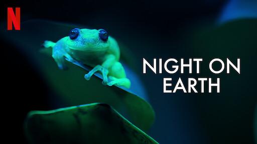 Night on Earth: Shot in the Dark | Netflix Official Site